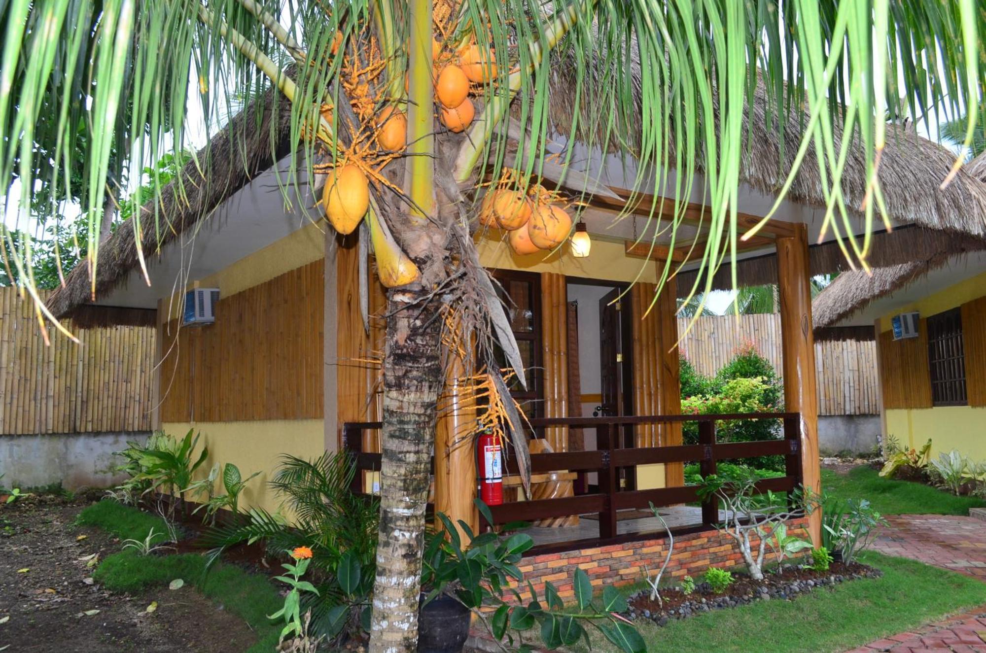 Veraneante Resort Panglao Zimmer foto